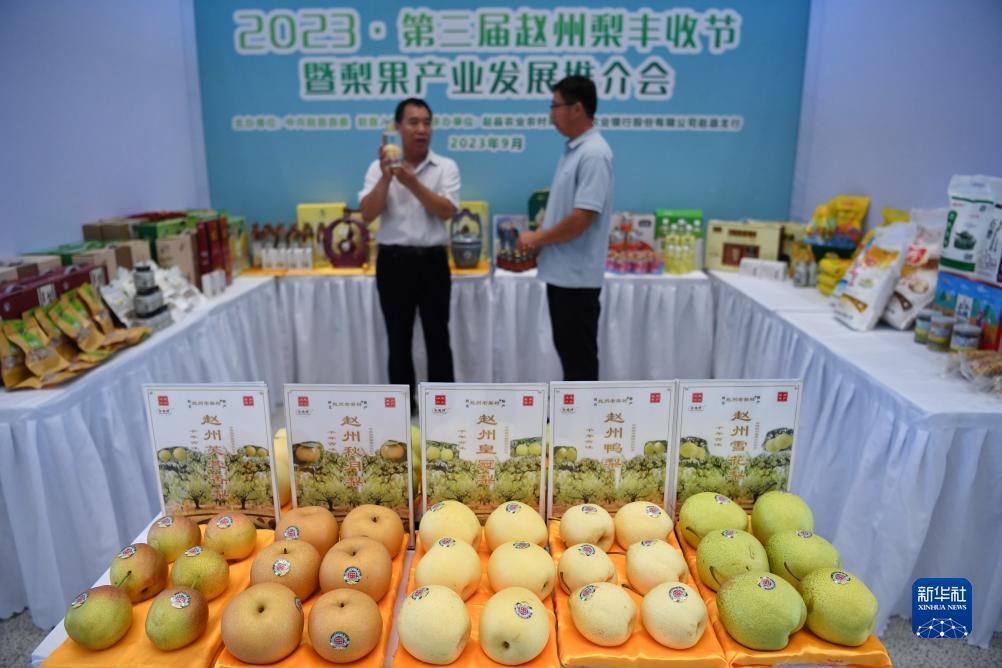 威尼斯在线娱乐